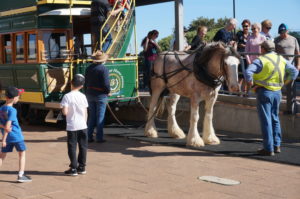 Horse train from Victor Harbor to Granite Island