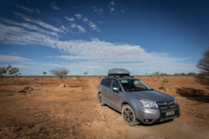Another trip for the Subaru