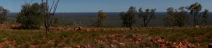 View from Mt Oxley