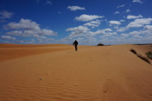 Perry Sandhills