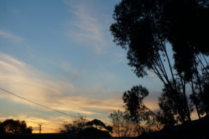Sunrise at Cobar