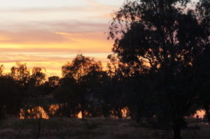 Sunrise