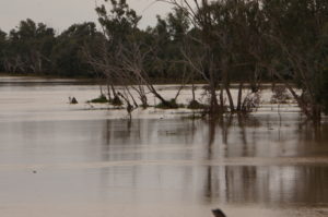 Warrego River, Cunnamulla